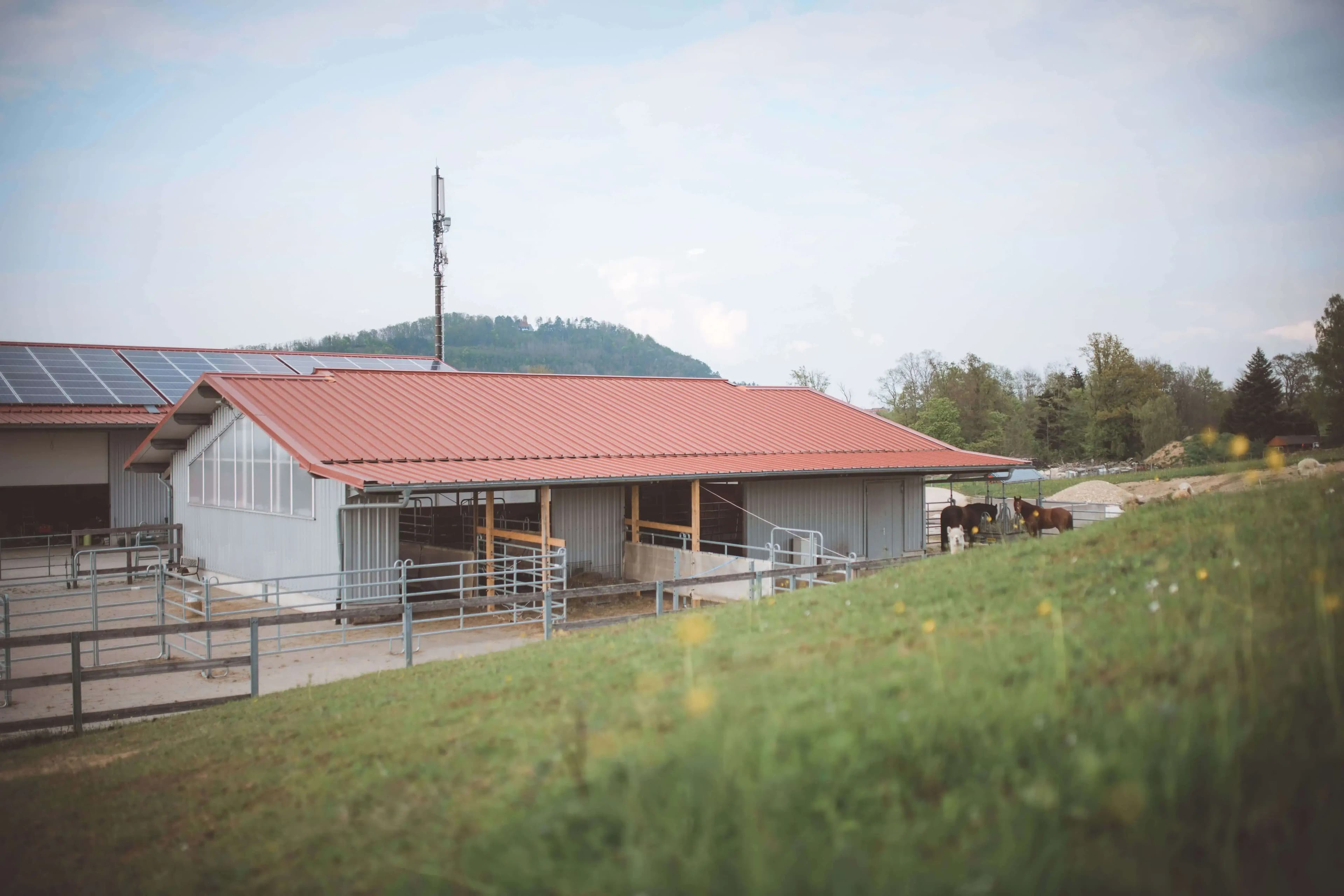 Freie Einstellplätze Aktivstall